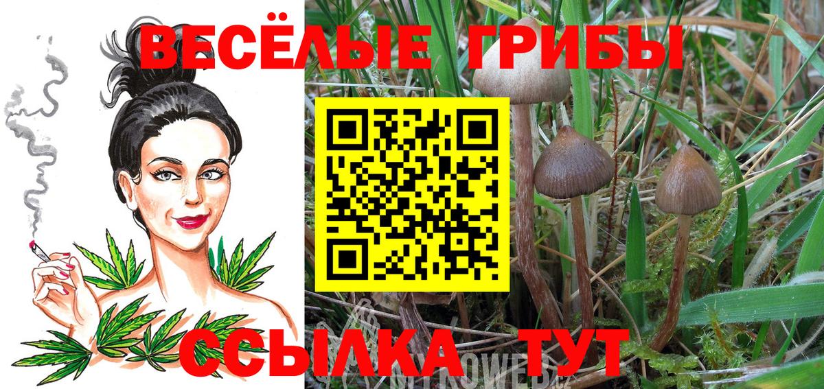 Псилоцибиновые грибы прущие грибы Ступино