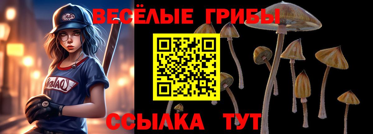 Псилоцибиновые грибы мицелий  Вход с VPN  Ступино 
